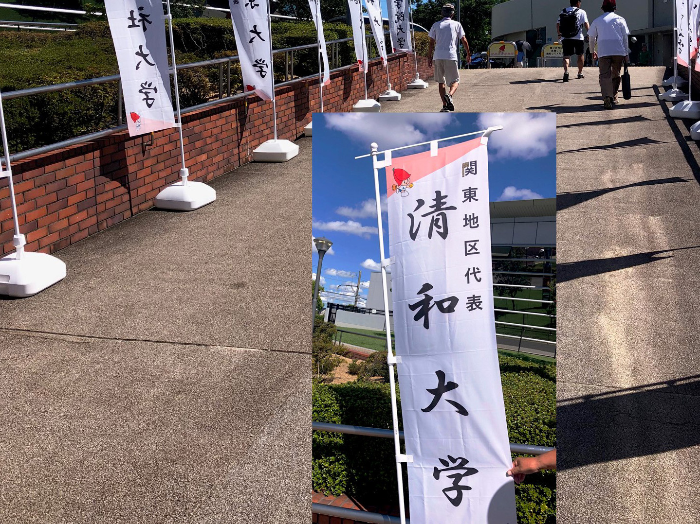 清和大学 女子ソフトボール部
