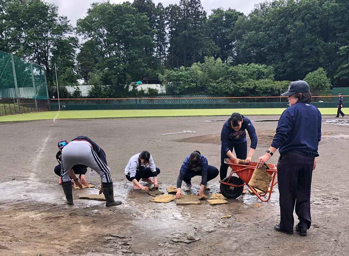 清和大学 女子ソフトボール部