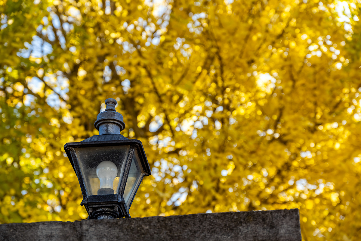 令和7年度清和大学保護者対象就職説明会が開催されました